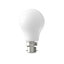 CALEX softline B22 7W 810lm White A60 Warm white LED Dimmable Filament Light bulb