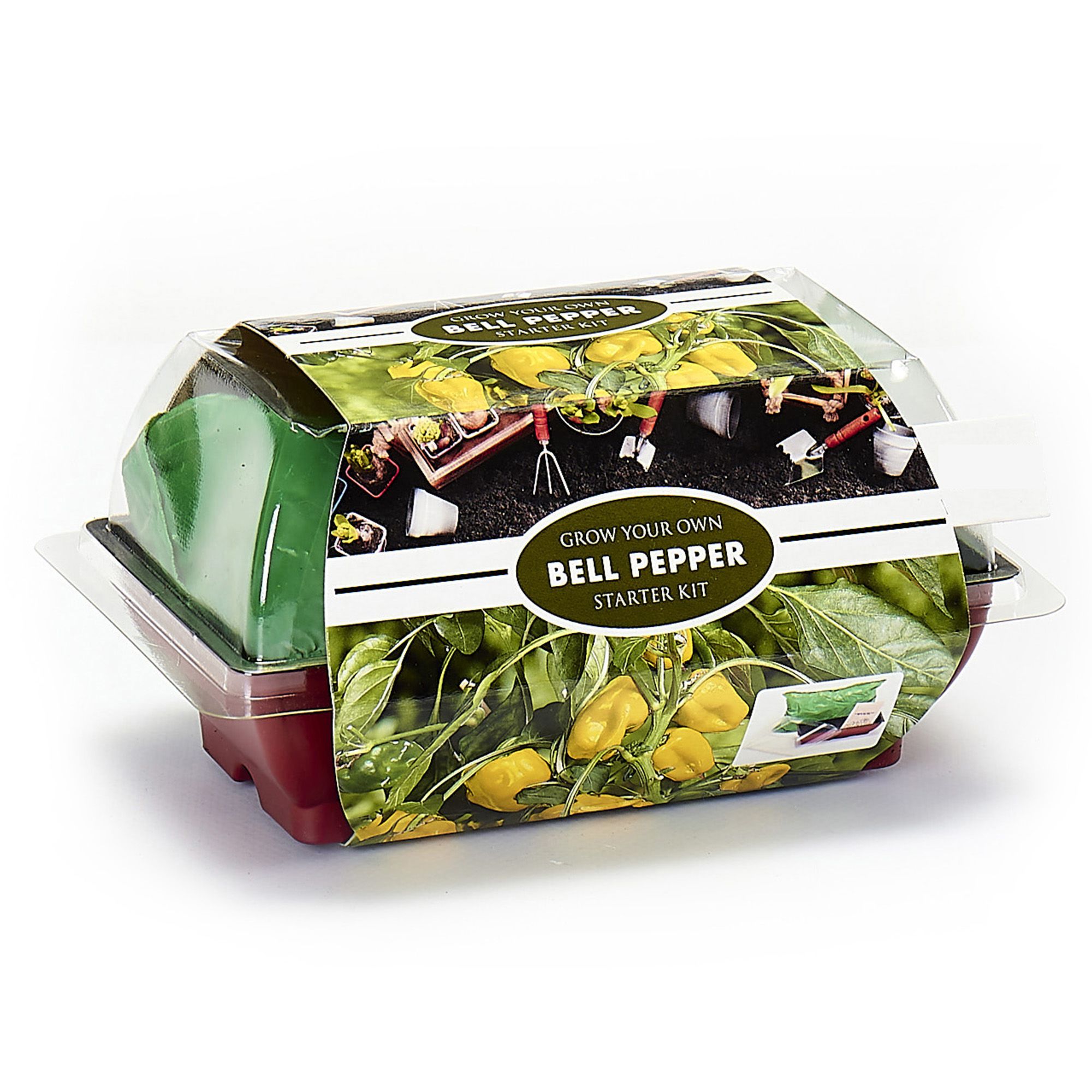 California Wonder Pepper Growing kit DIY at B&Q