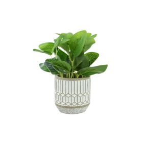 Candlelight 185cm Evergreen leaves Artificial plant in Grey Geometric Ceramic Pot