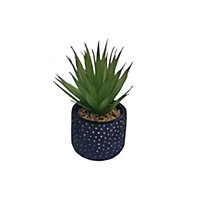 Candlelight 8cm Aloe vera Artificial plant in Black Spotty Ceramic Pot