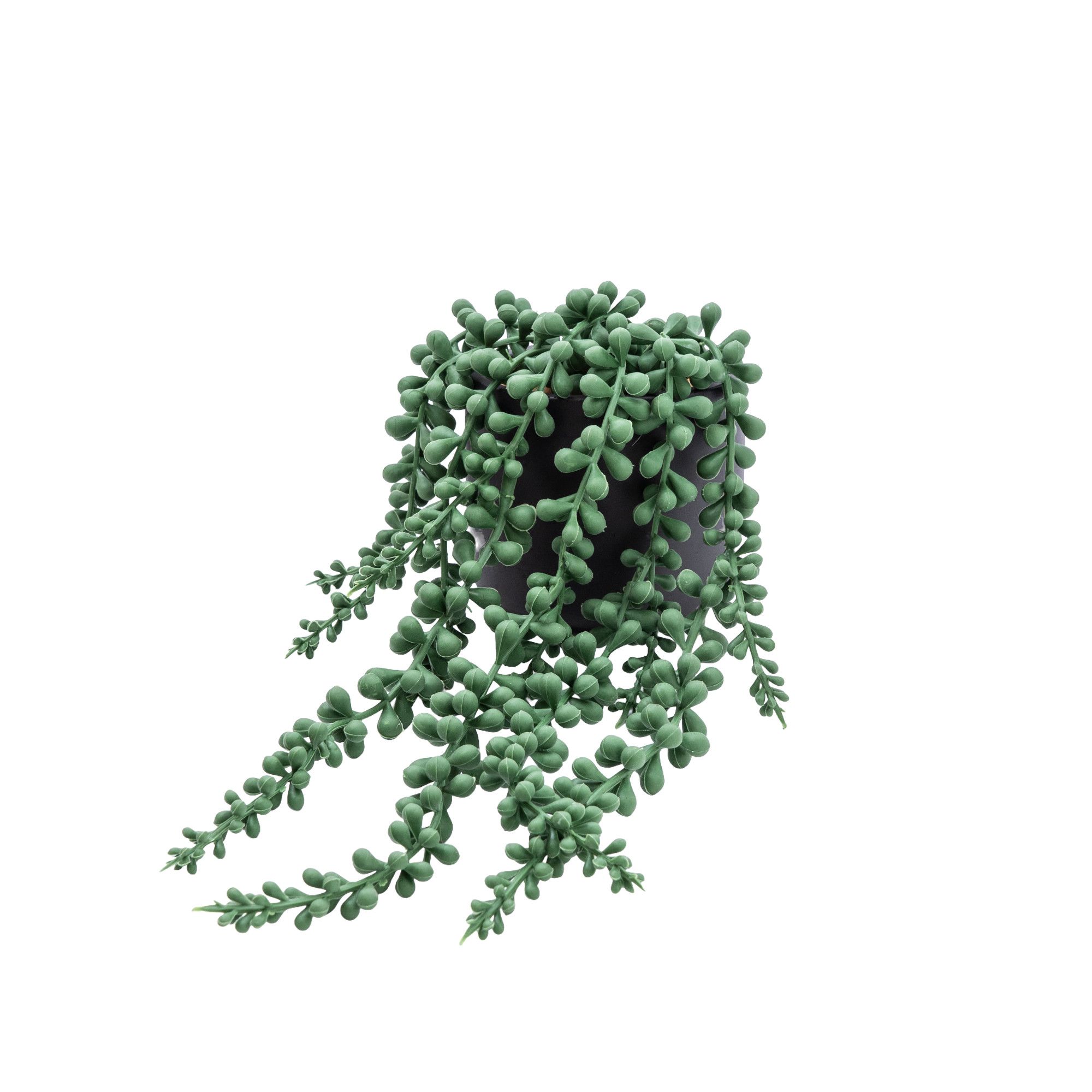 Candlelight Green 12cm String of pearls Artificial plant in Black Ceramic Pot
