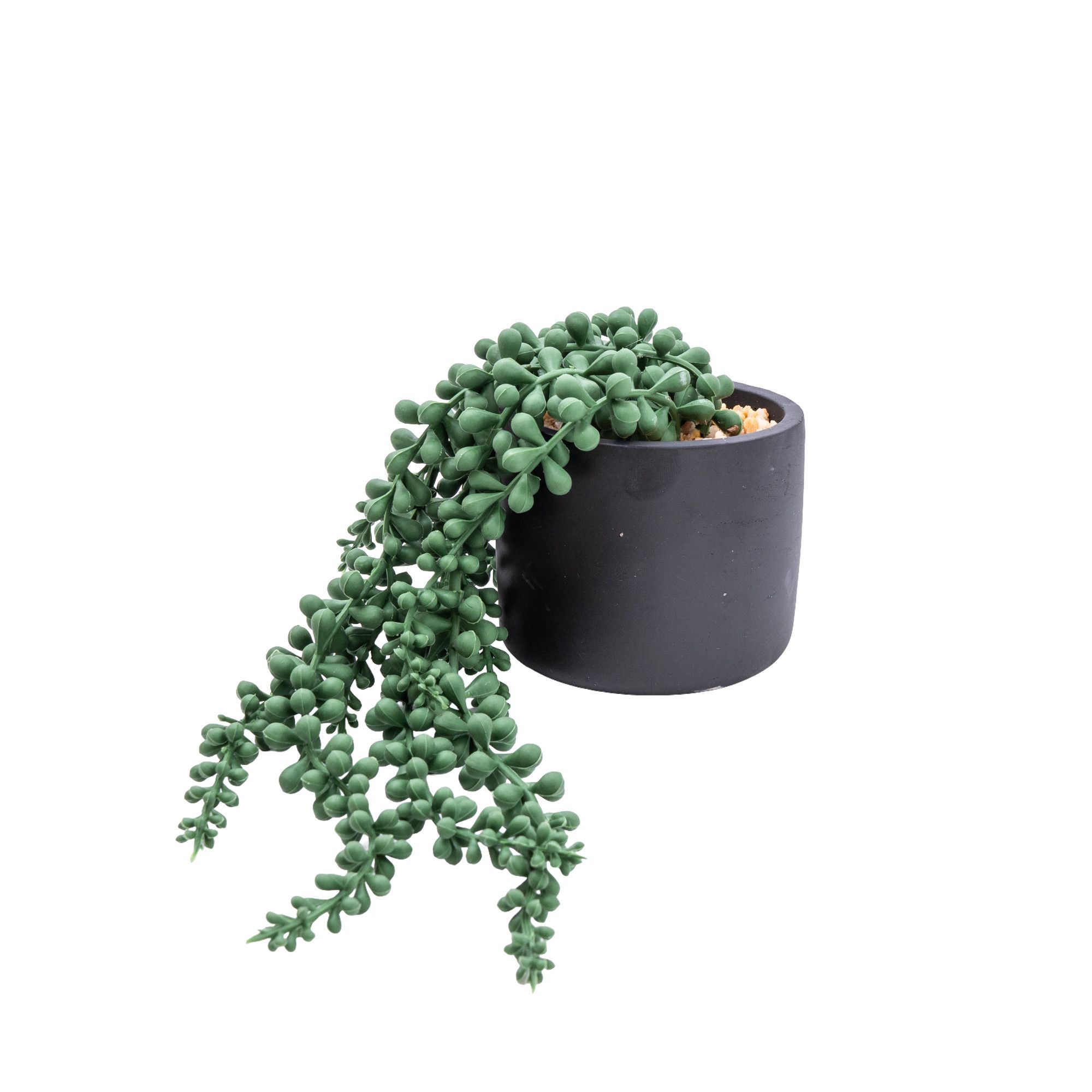 Candlelight Green 12cm String of pearls Artificial plant in Black Ceramic Pot