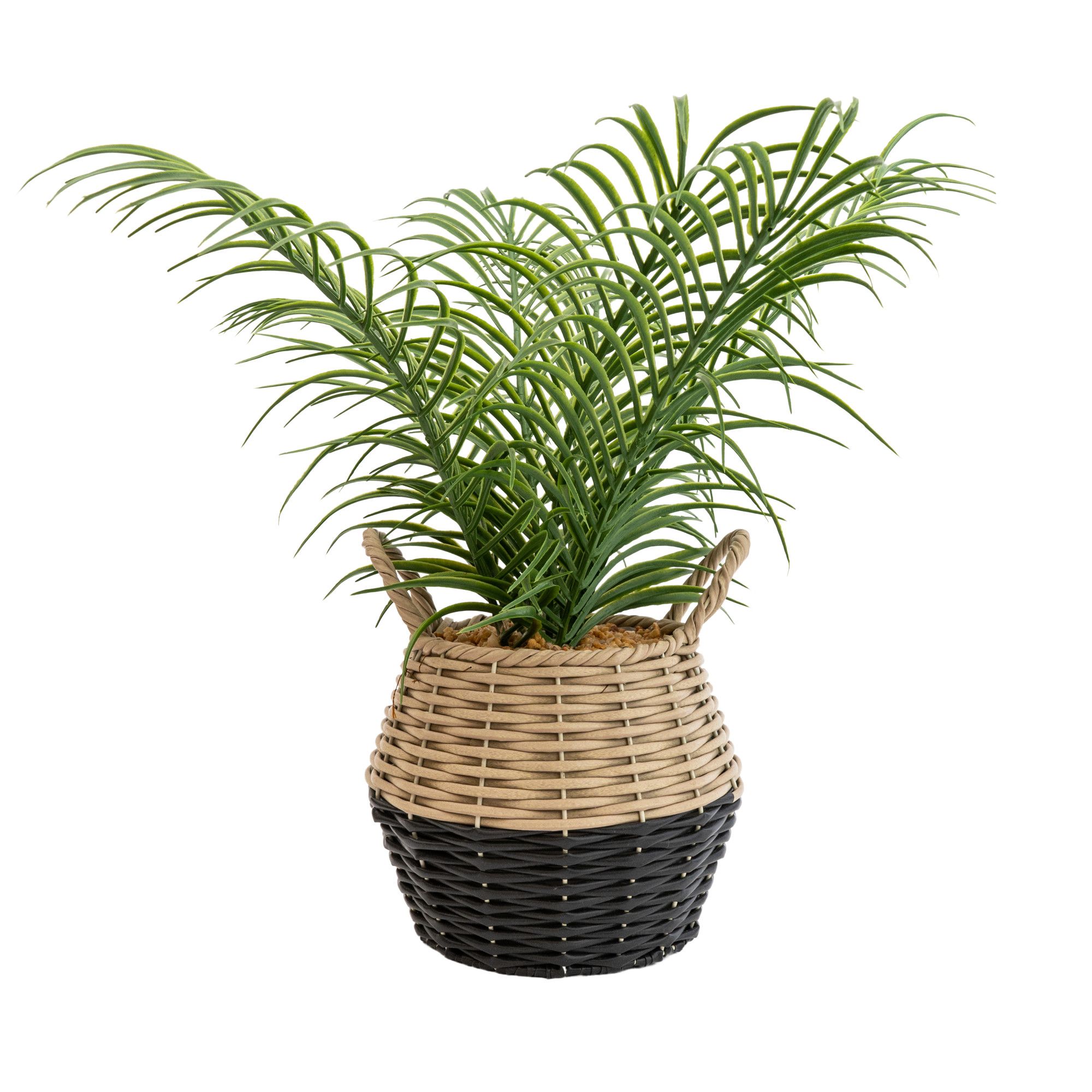 Candlelight Green 20cm Palm Artificial plant in Natural Wicker Basket