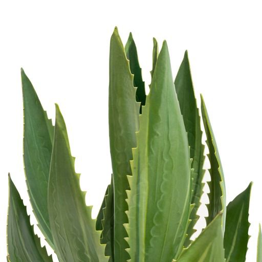 Candlelight Green 36cm Aloe Vera Artificial plant in Grey Ceramic Pot