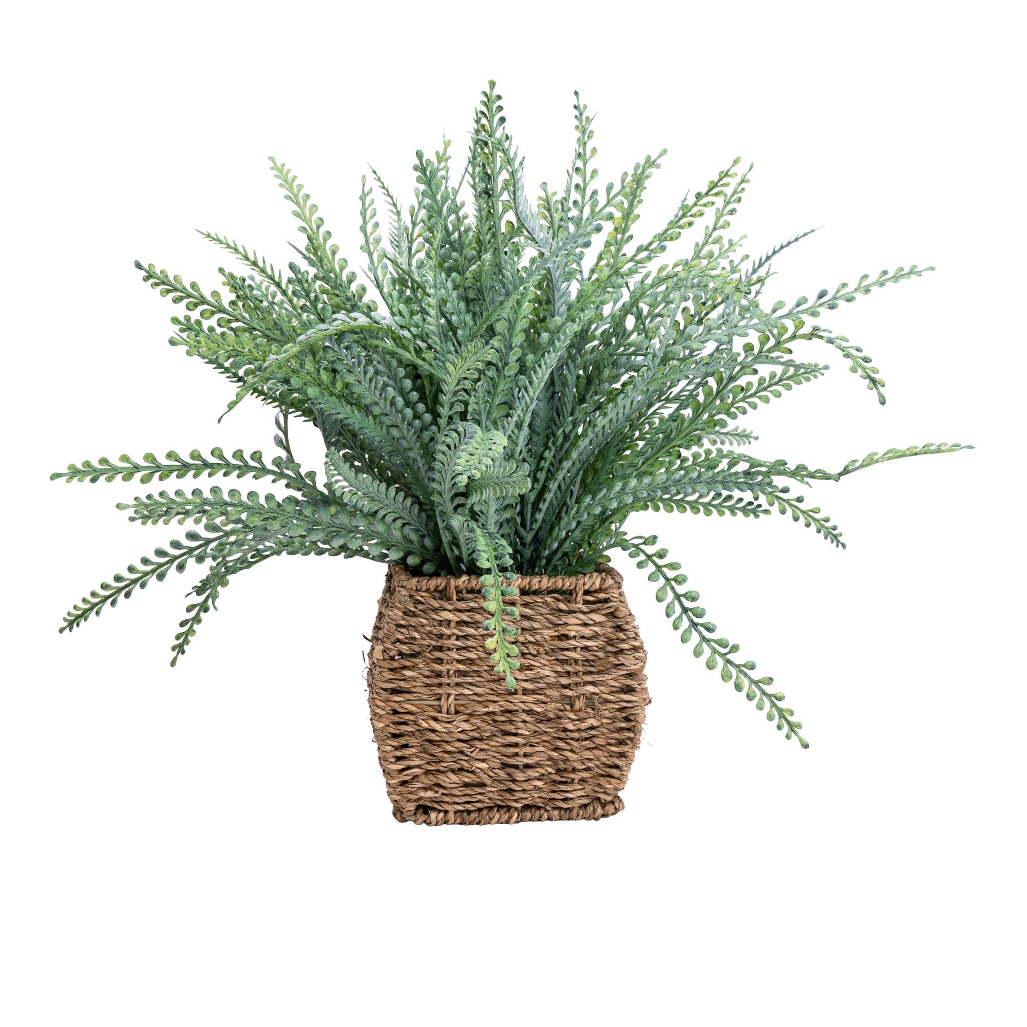 Candlelight Green 43cm Fern Artificial plant in Brown Seagrass Basket