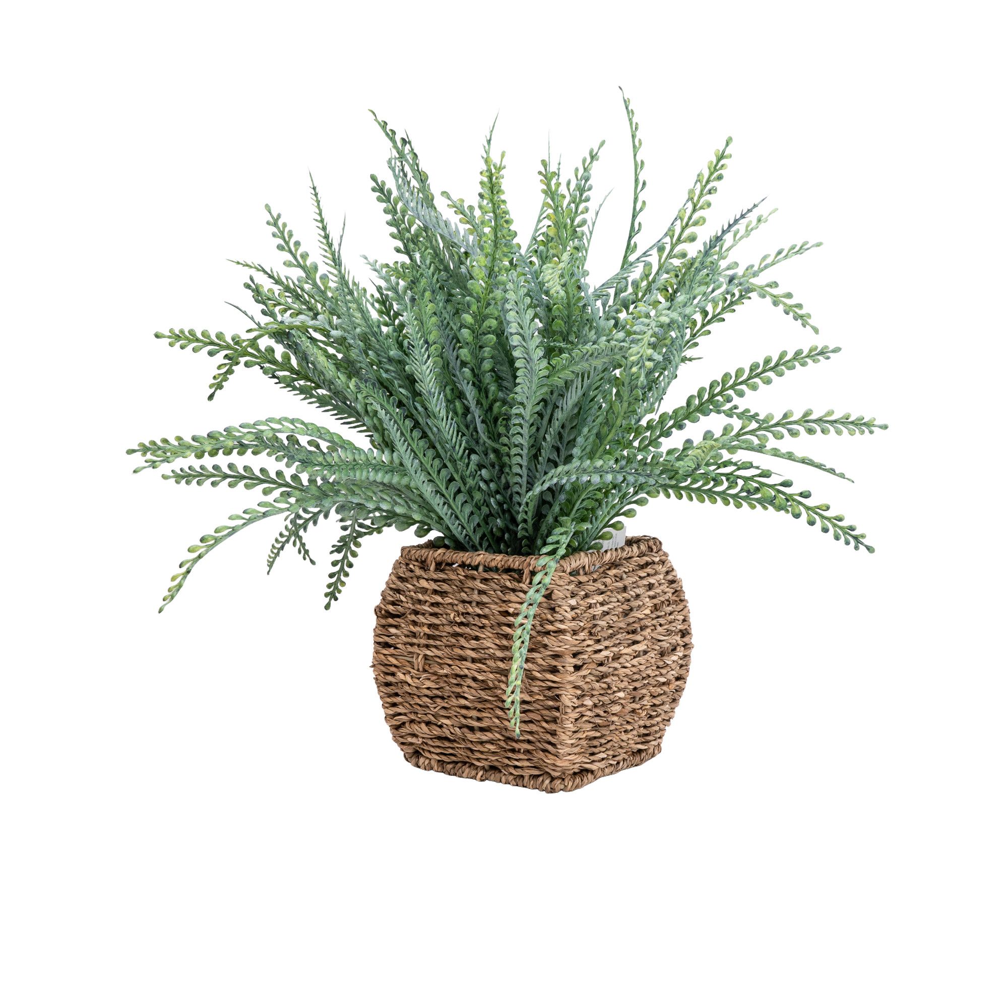 Candlelight Green 43cm Fern Artificial plant in Brown Seagrass Basket