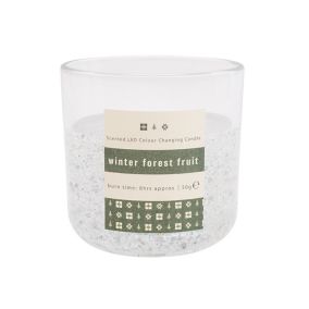 Candlelight Small Winter forest fruits LED pillar candle