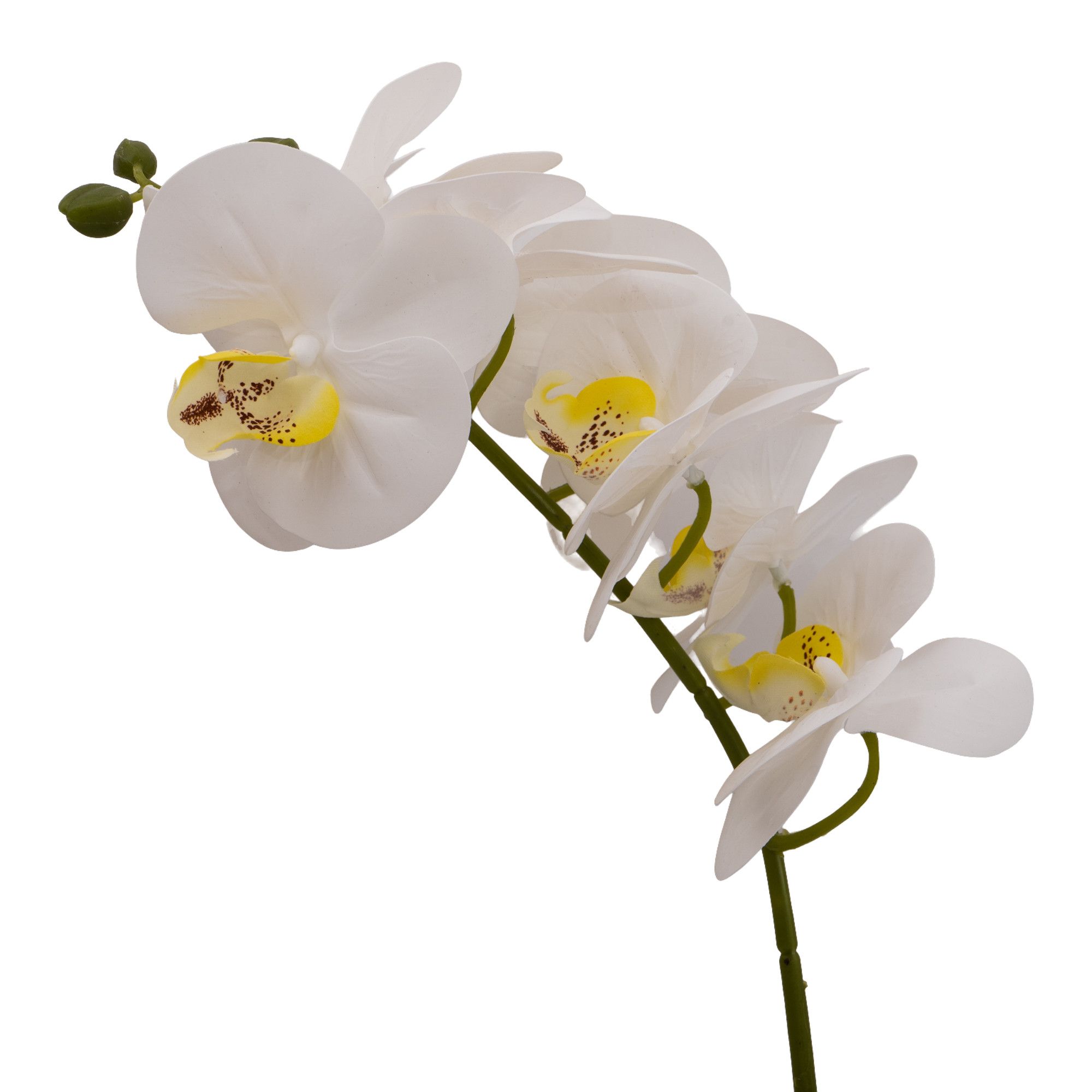 Candlelight White 25cm Orchid Artificial plant in Grey Ceramic Pot
