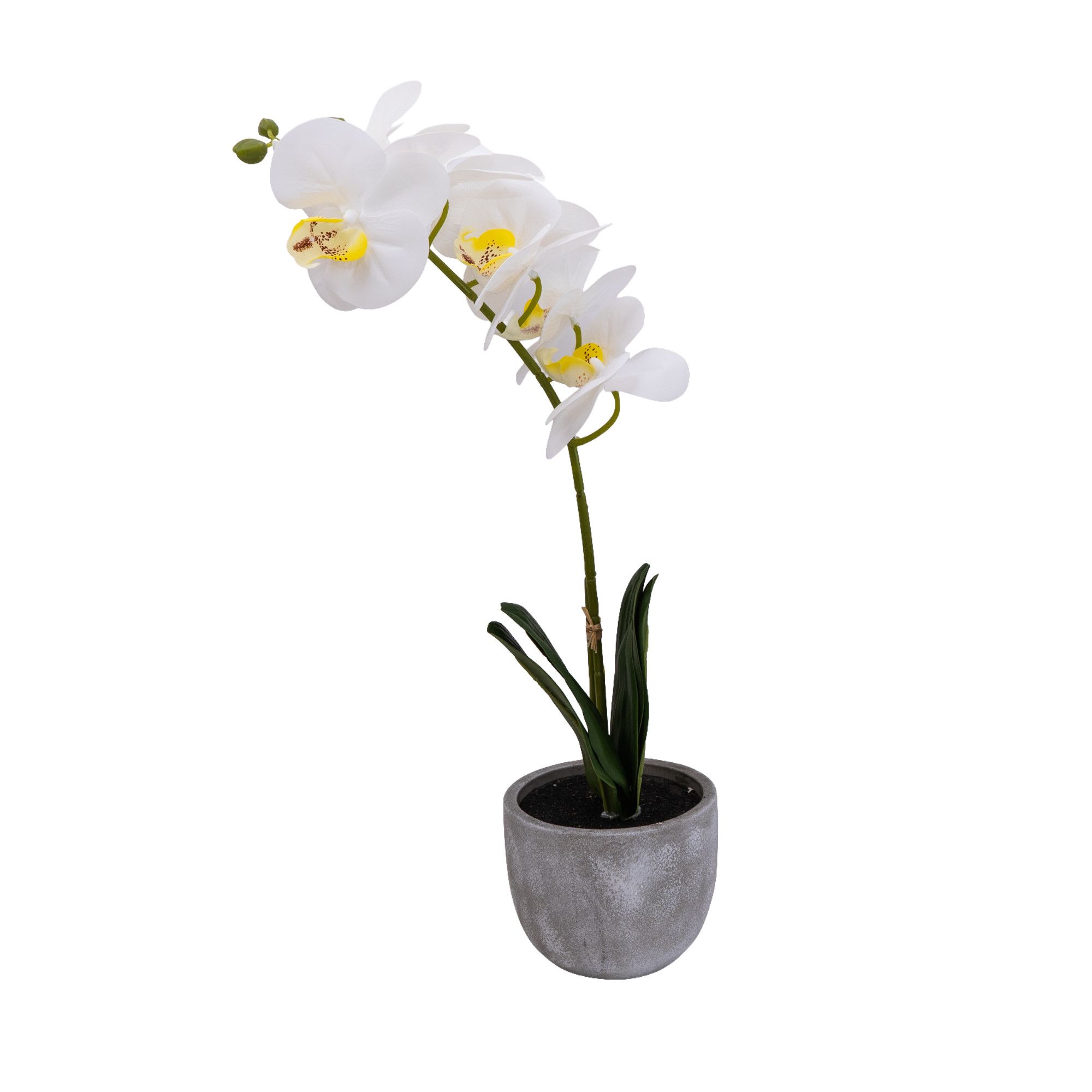 Candlelight White 25cm Orchid Artificial plant in Grey Ceramic Pot