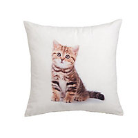 Cat Multicolour Cushion