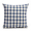 Chenoa Checked Blue & white Cushion