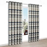 Cheyla Grey Stripe Lined Eyelet Curtains (W)167cm (L)183cm, Pair