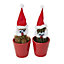 Christmas plants Assorted Santa Ceramic Pot