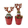 Christmas plants Red Reindeer Ceramic Pot