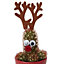 Christmas plants Red Reindeer Ceramic Pot