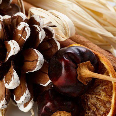Cinnamon & spice Spiced Potpourri