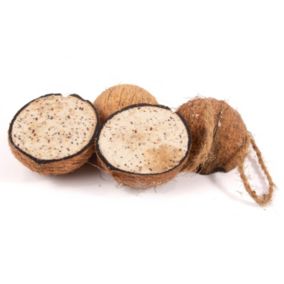 CJ Wildlife Coconut shell treat 0.8kg