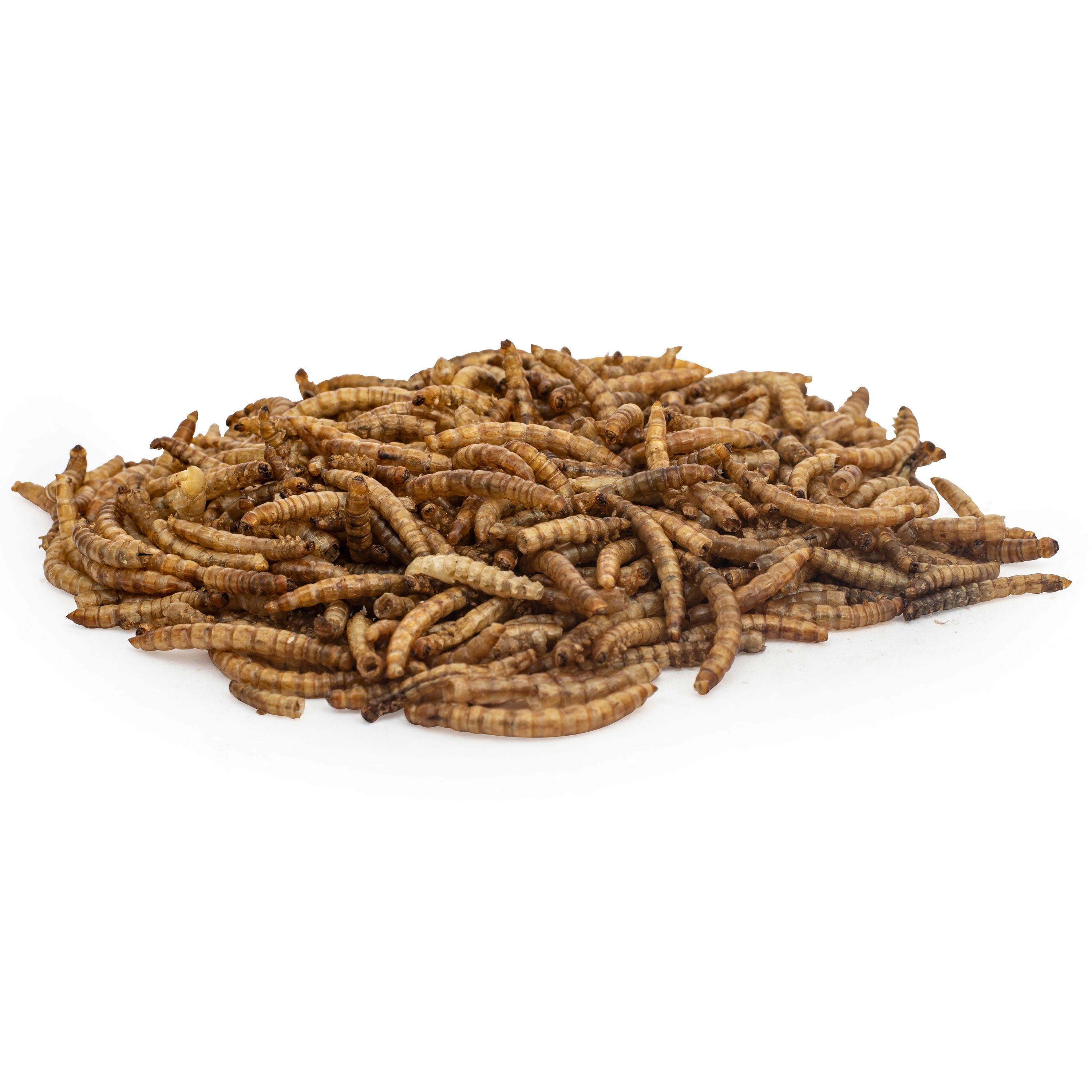 CJ Wildlife Mealworms 0.5kg