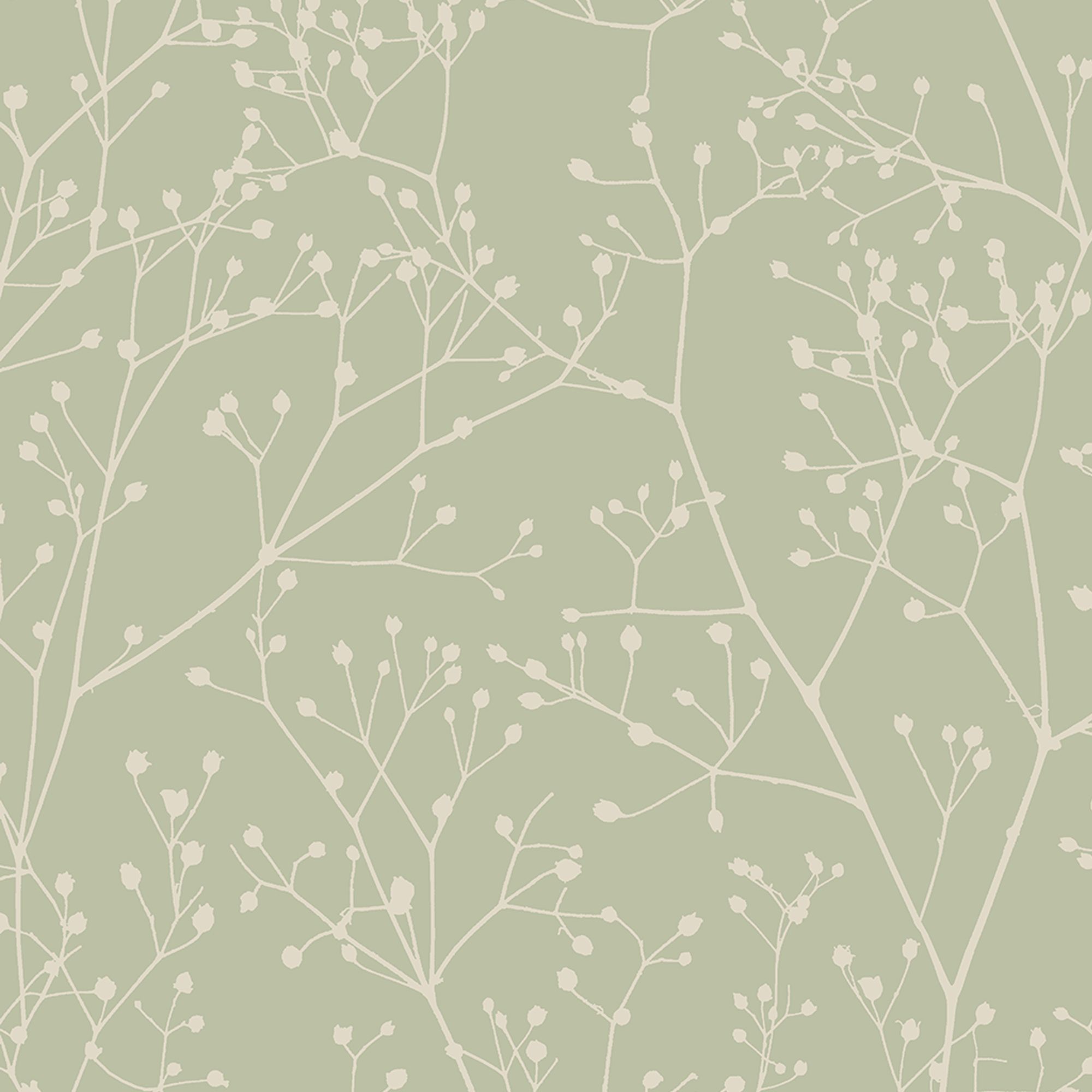 Clarissa Hulse Gypsophila Spring Green & Silver effect Smooth Wallpaper