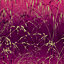 Clarissa Hulse Meadow Grass Damson Pink & Gold effect Smooth Wallpaper