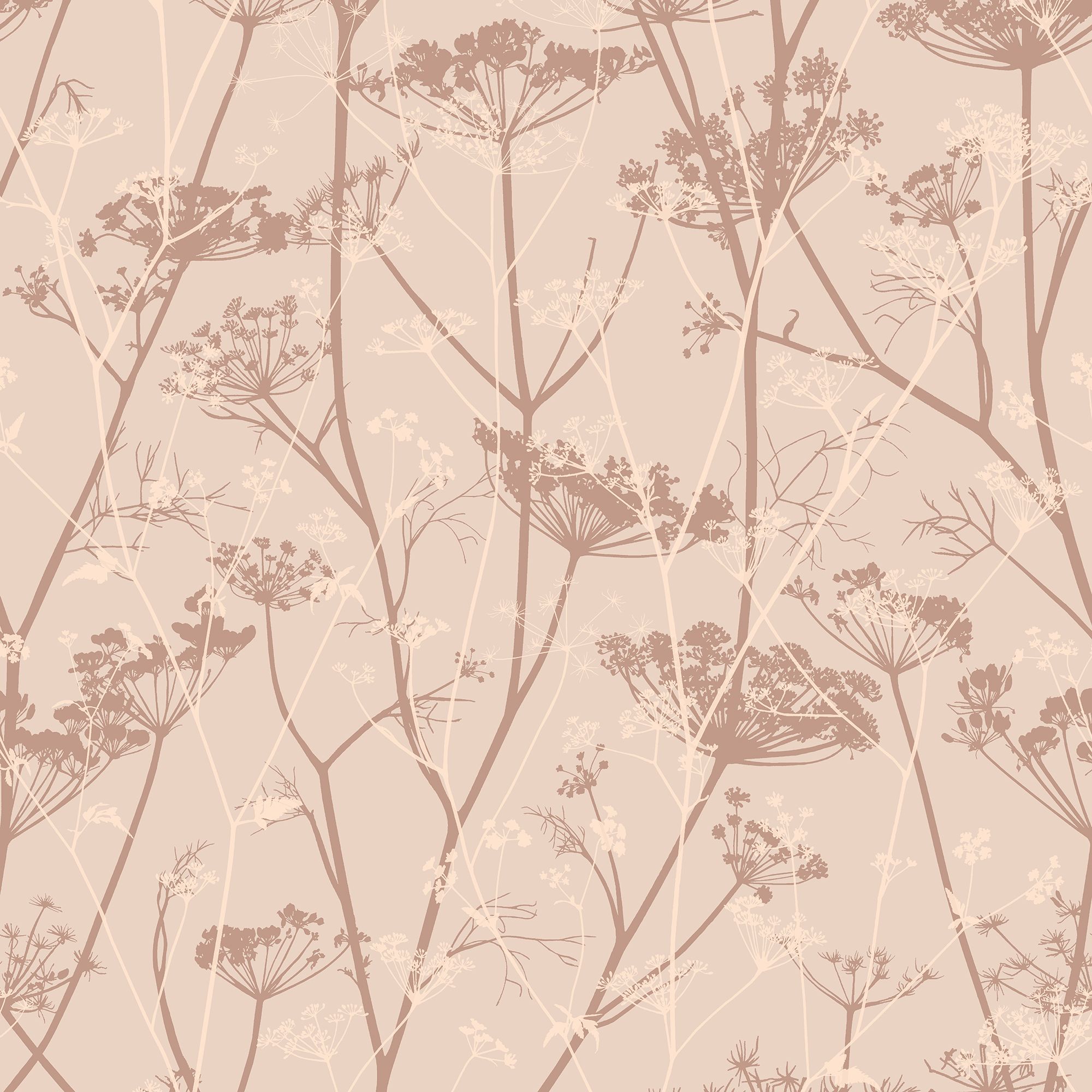 Clarissa Hulse Wild Chervil Shell Pink & Rose gold effect Smooth Wallpaper