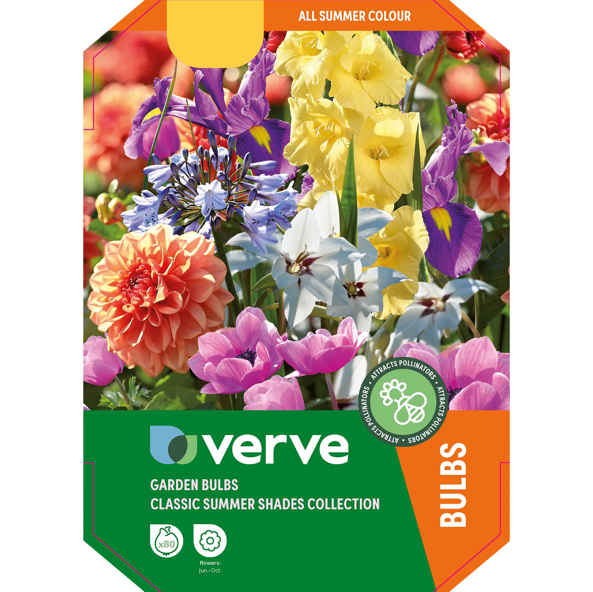 Classic summer shades 80 Flower bulbs