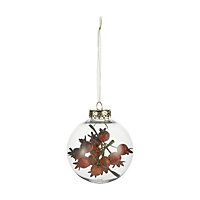 Clear Plastic Dried rosehip Bauble