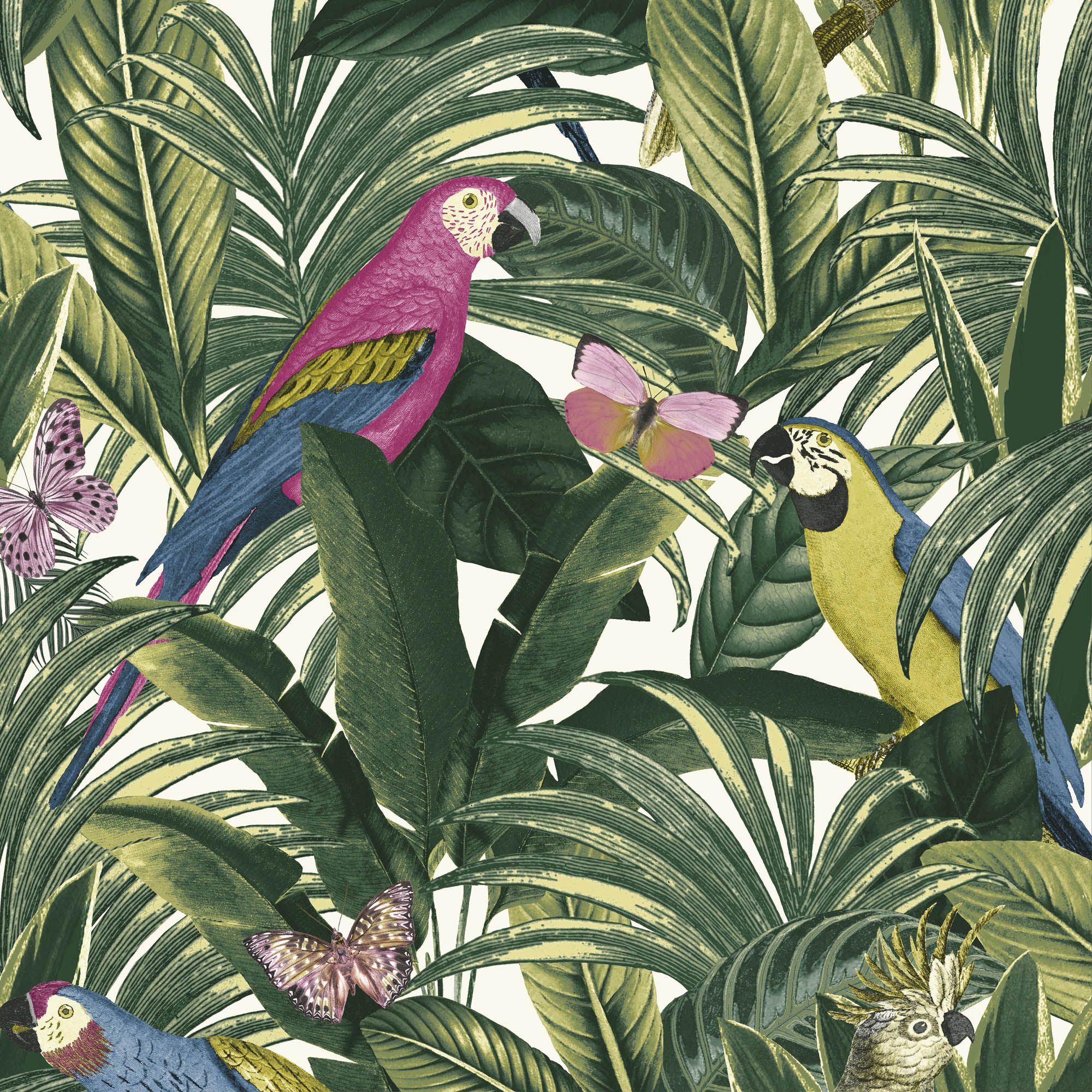 Cleome Multicolour Tropical Smooth Wallpaper Sample DIY at B&Q