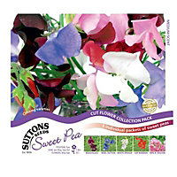 Collection Sweet pea Seed