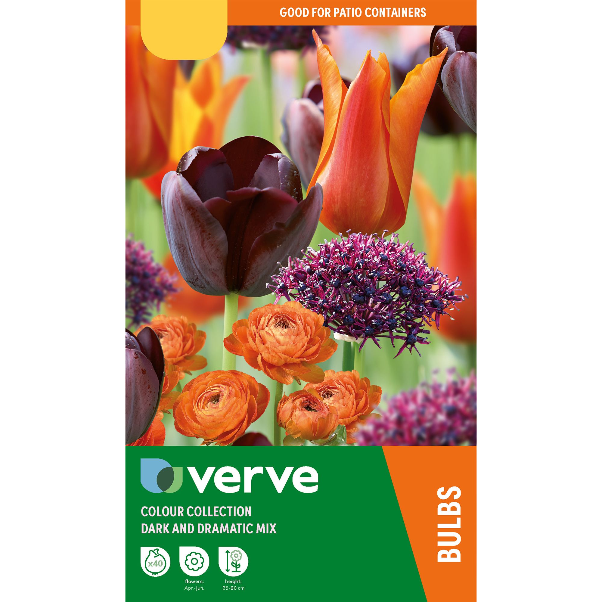 Colour Collection - Dark & Dramatic Mix 40 Flower bulbs