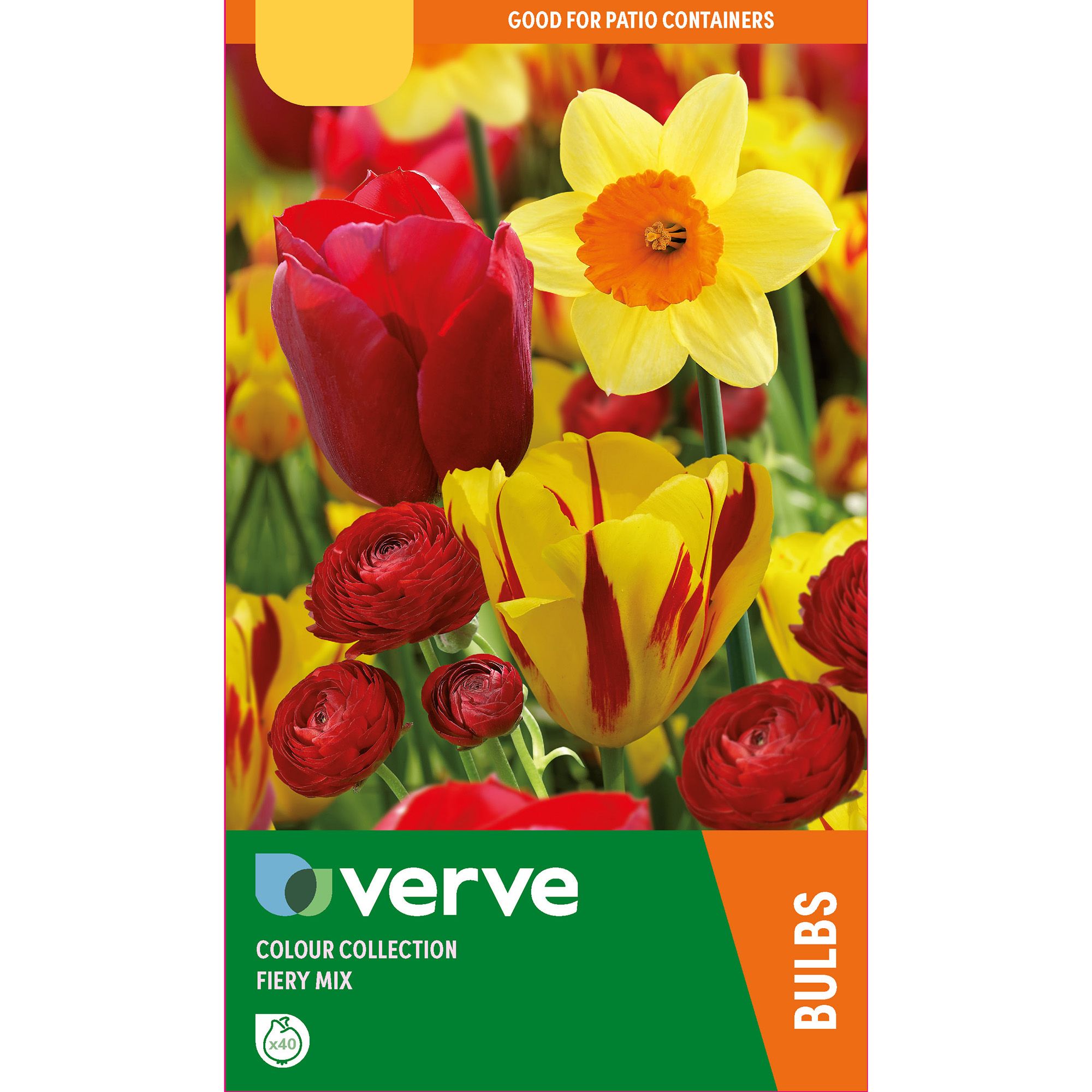 Colour collection fiery mix Flower bulb, Pack of 40 DIY at B&Q