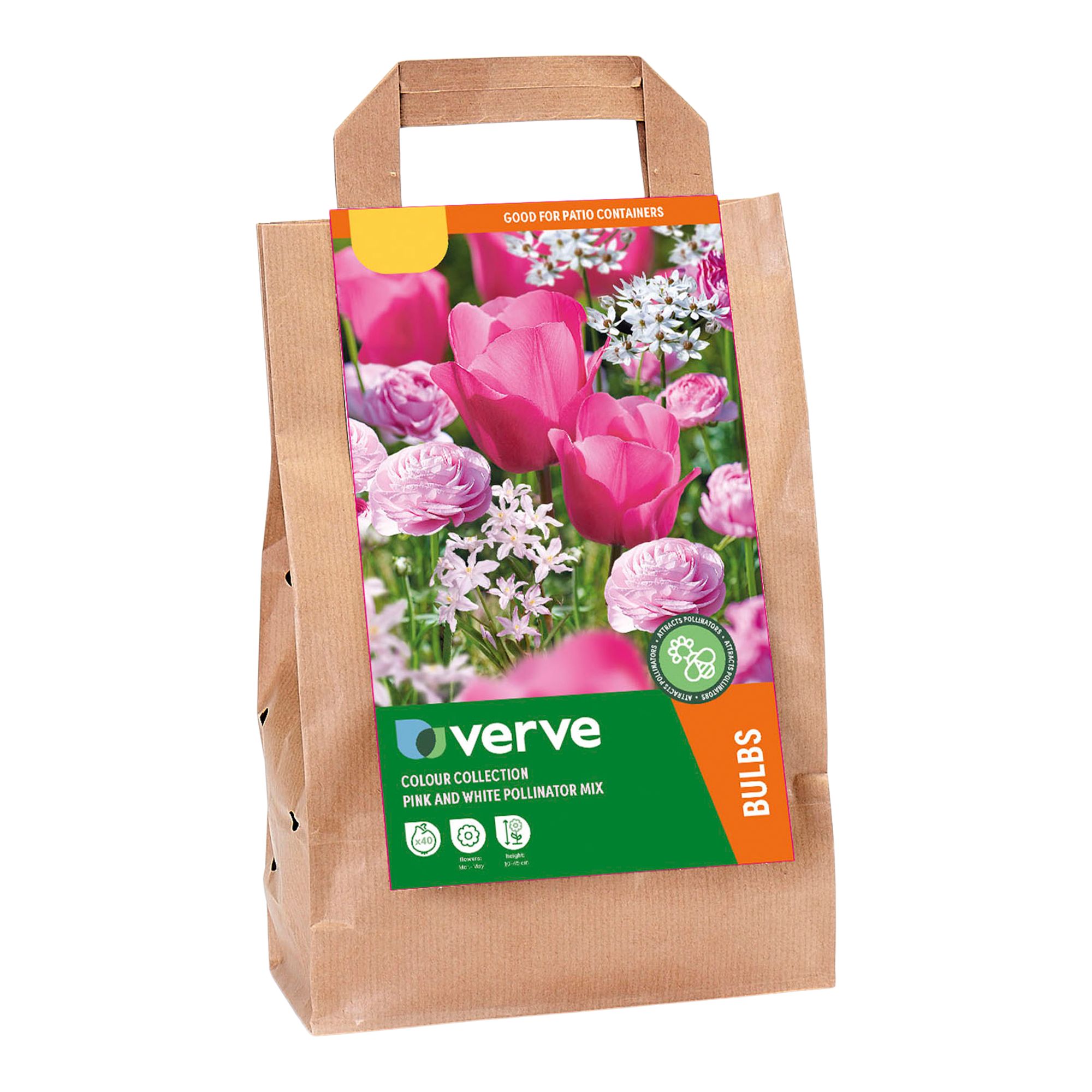 Colour Collection - Pink Pollinator 40 Flower bulbs - 3