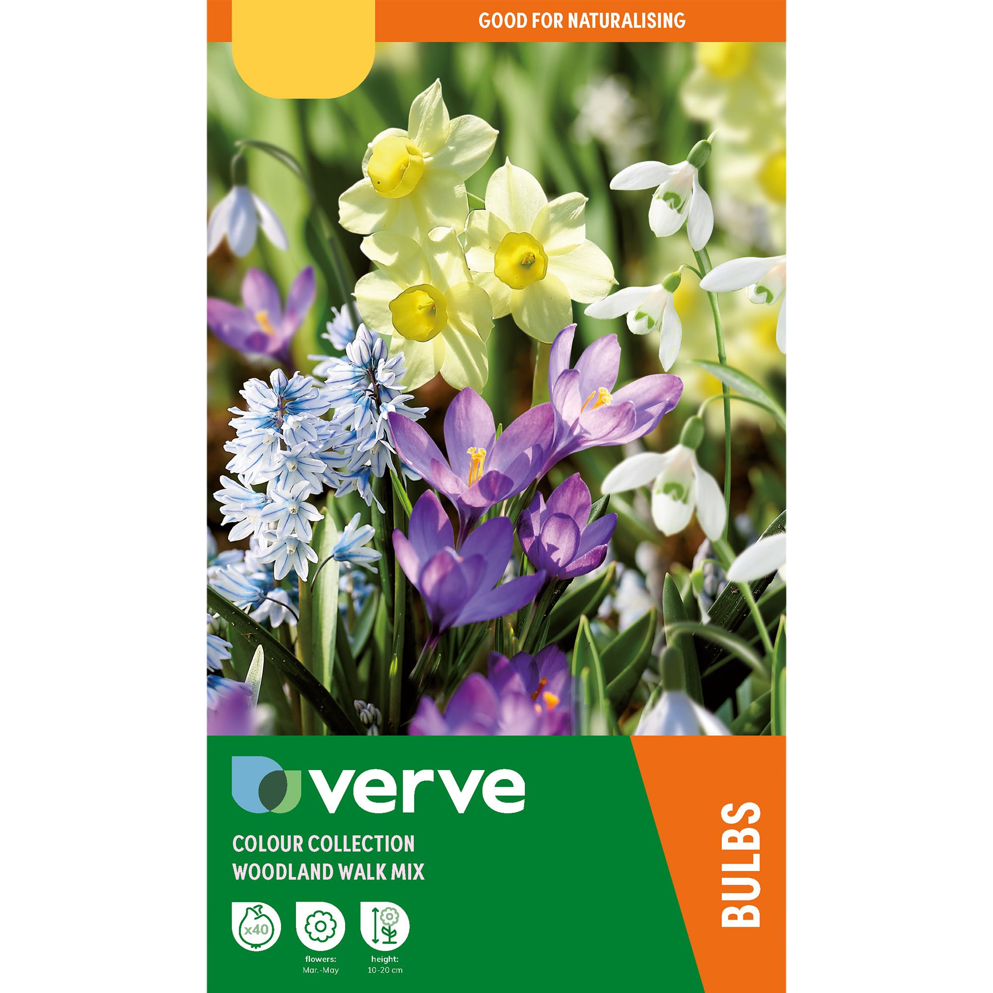 Colour Collection - Woodland Walk Mix 40 Flower bulbs