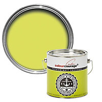 colourcourage Bergamot squeeze Matt Emulsion paint, 2.5L