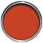 colourcourage Berry boom Matt Emulsion paint, 2.5L