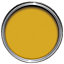 colourcourage Oro antico Matt Emulsion paint, 2.5L