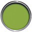 colourcourage Pomme de pin Matt Emulsion paint, 125ml