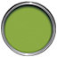 colourcourage Pomme de pin Matt Emulsion paint, 2.5L