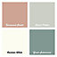 colourcourage Rosewood shade Matt Emulsion paint, 125ml