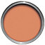 colourcourage Terra de siena Matt Emulsion paint, 2.5L