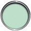 colourcourage Wild pistachio Matt Emulsion paint, 125ml
