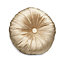 Colours Arcadia Plain Champagne Cushion (L)40cm x (W)40cm