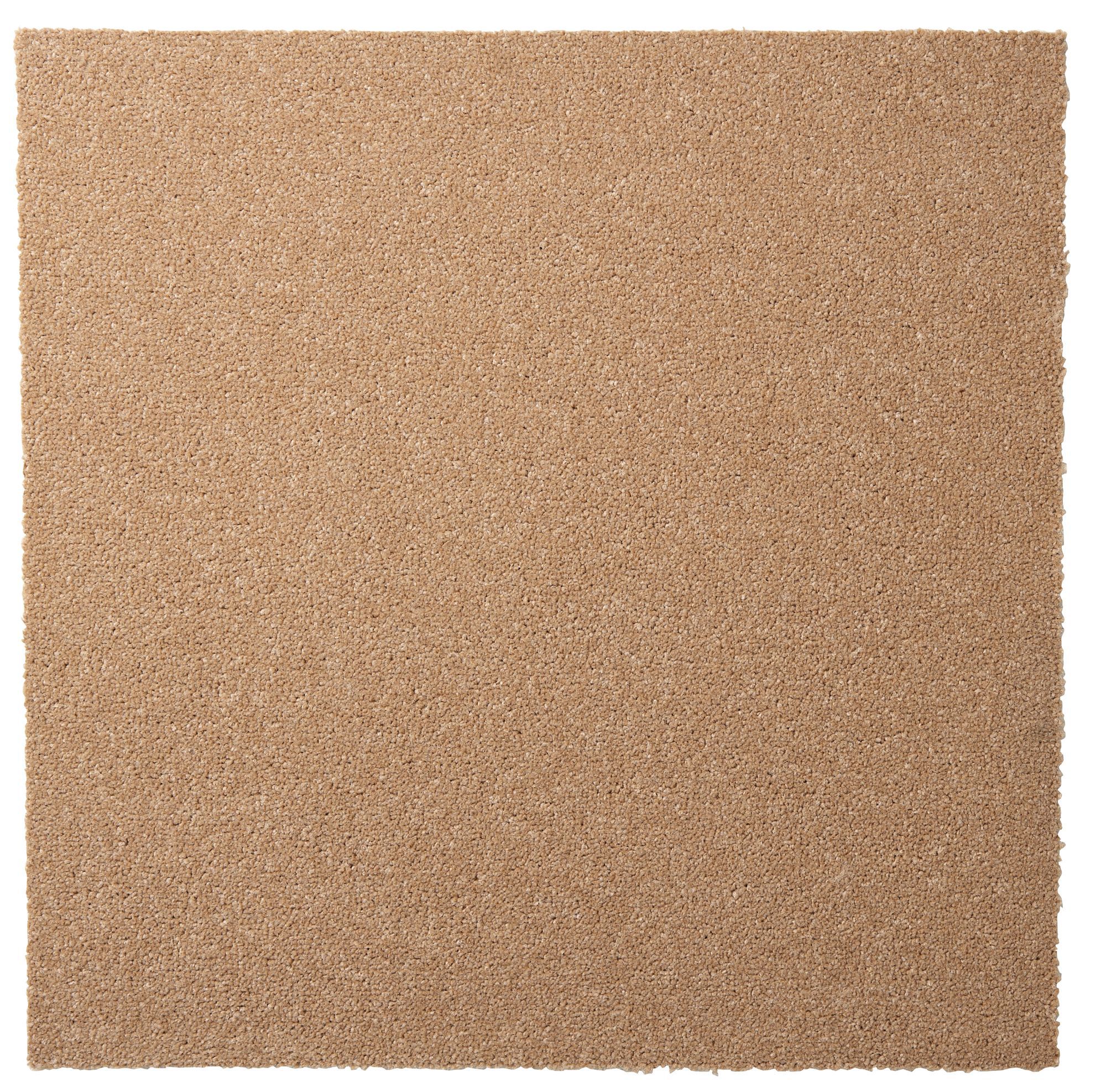 Colours Beige Carpet tile, (L)50cm