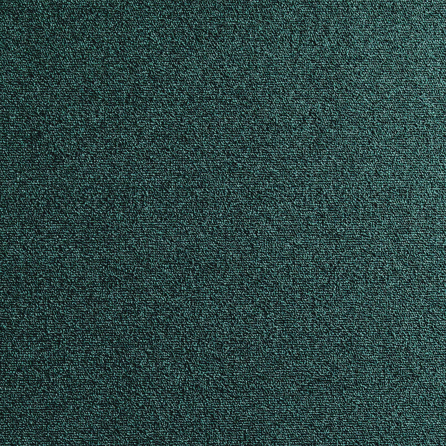 Colours Dark green Loop Carpet tile, (L)500mm