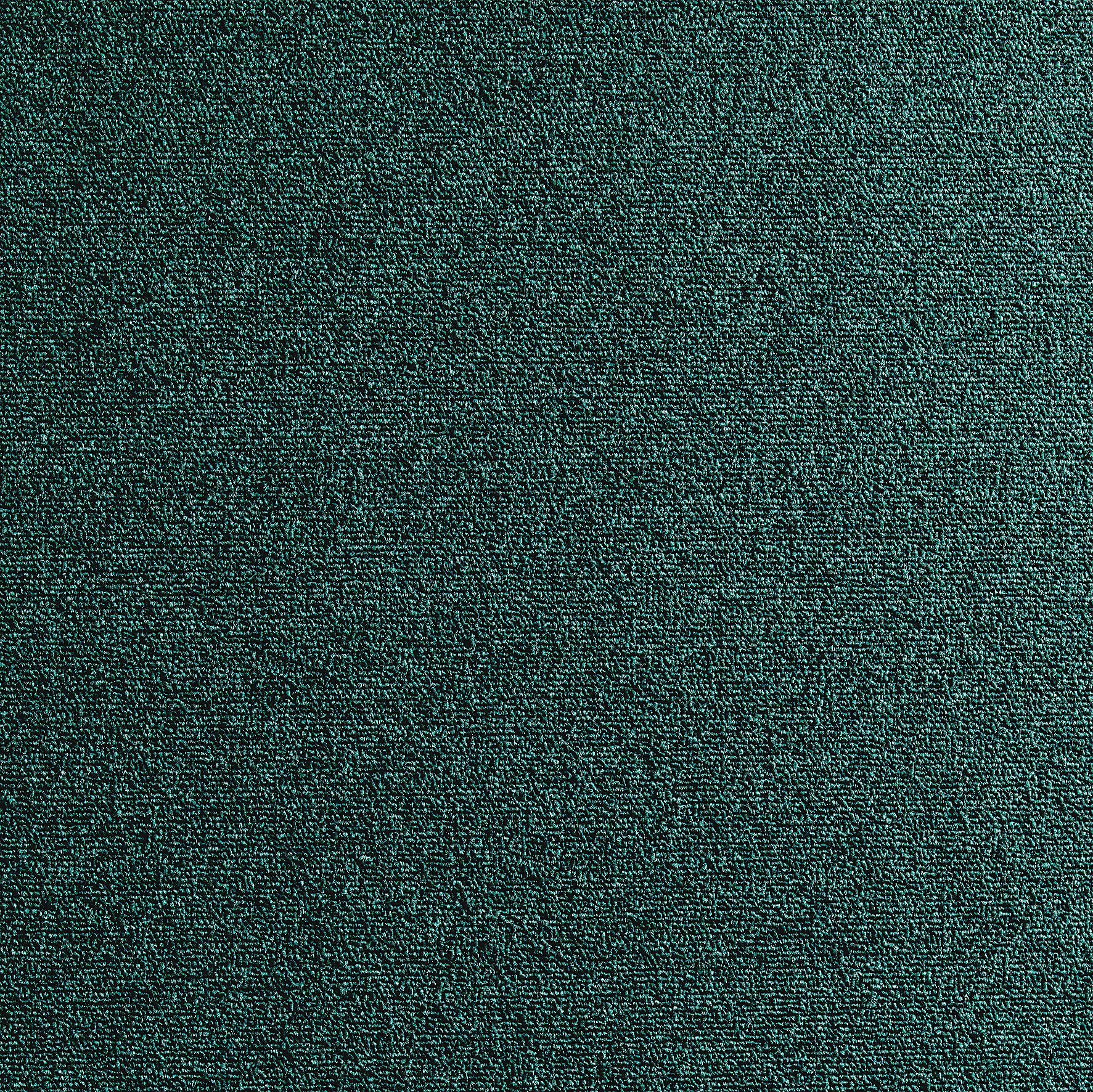 Colours Dark green Loop Carpet tile, (L)500mm