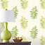 Colours Fern Cream & green Floral Wallpaper