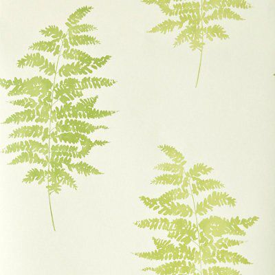 Colours Fern Cream & green Floral Wallpaper