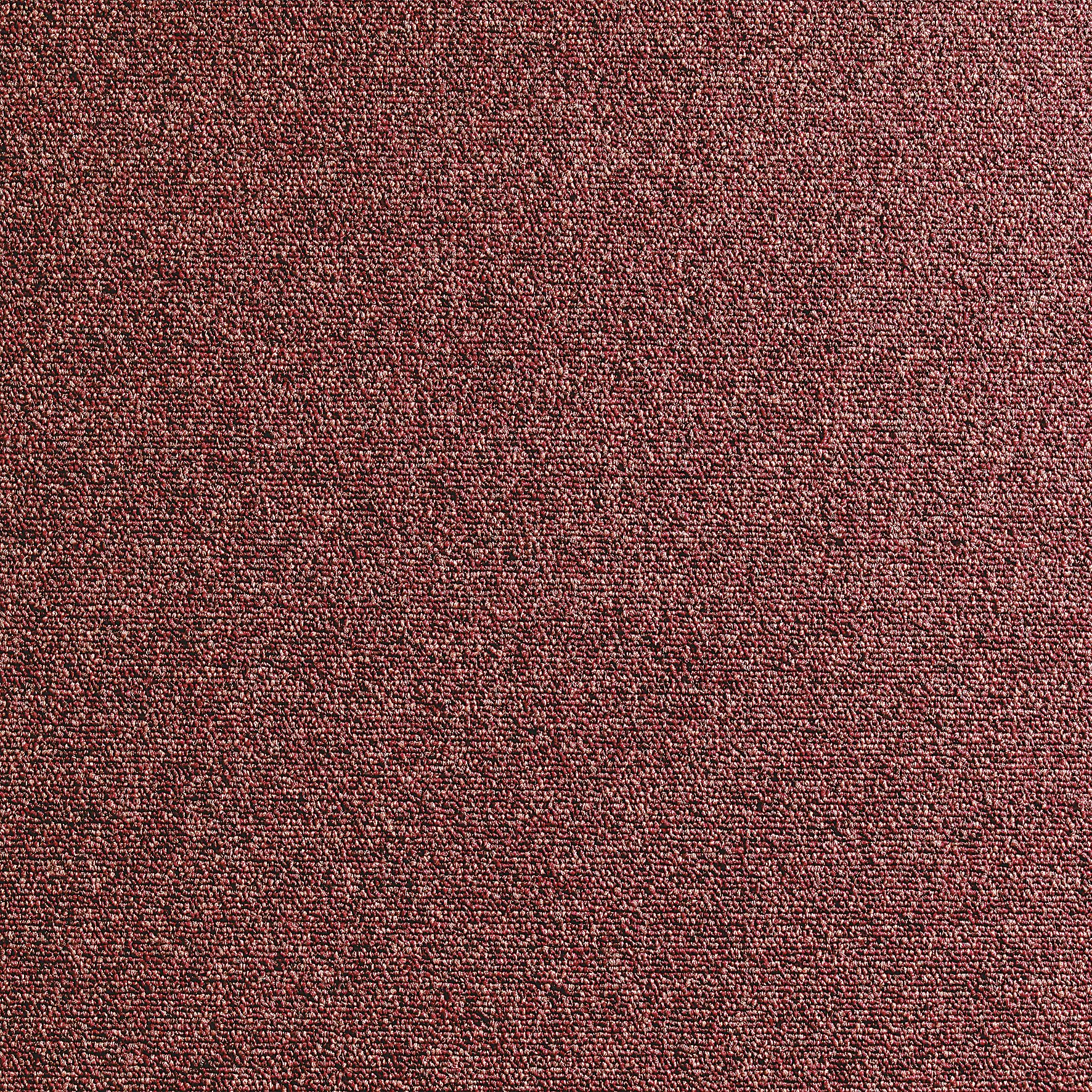 Colours Ginger Loop Carpet tile, (L)500mm