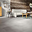Colours Leggiero Grey Gloss Concrete effect High-density fibreboard (HDF) Laminate Flooring Sample, (W)293mm