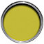 Colours Lime Satin Metal & wood paint, 0.75L